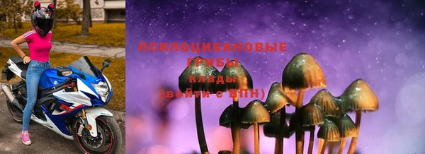 apvp Бронницы