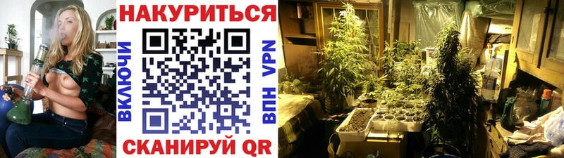 купить   Североуральск  Бошки Шишки AK-47 